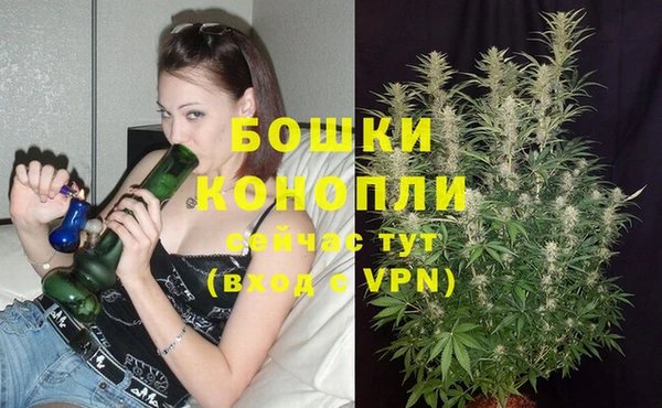 марки lsd Зерноград