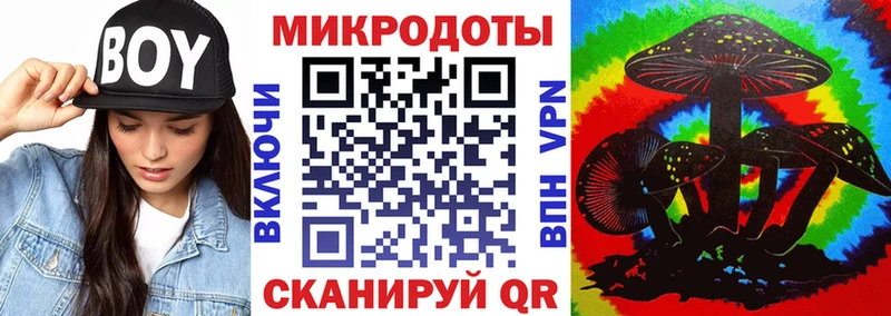 Псилоцибиновые грибы Psilocybine cubensis  Сосновоборск 