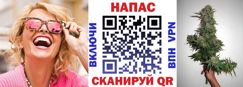 Бошки Шишки план  Сосновоборск 